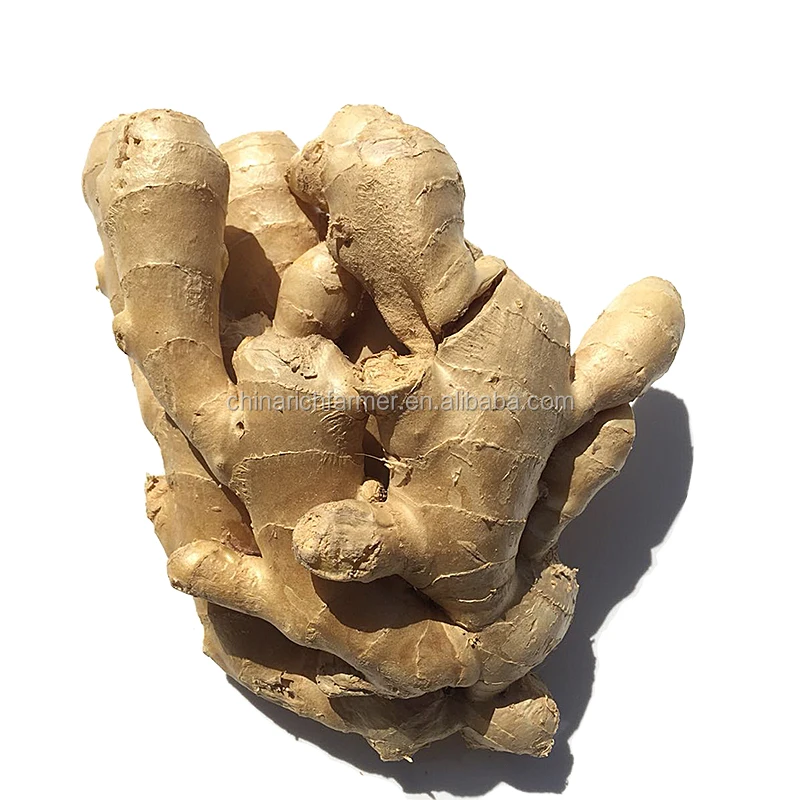 250g Bulk Air Dry Ginger Price