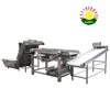 Automatic hydroponics green mung bean sprouts washing machine for sale