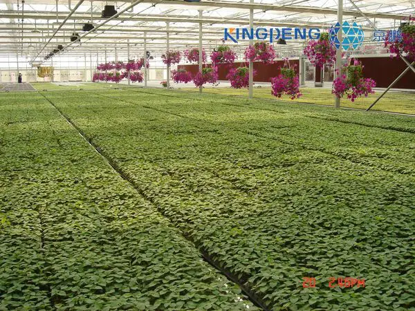 种植花卉的温室 Buy 花温室 花温室 花卉生长product On Alibaba Com