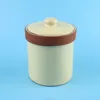 2017 Yellow glazed Terracotta sugar tea coffee storage Jar Wholesale Ceramic canister for Kitchen ware & table ware