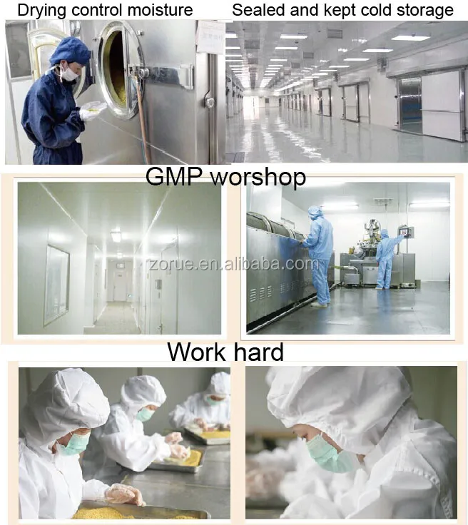 work shop.jpg