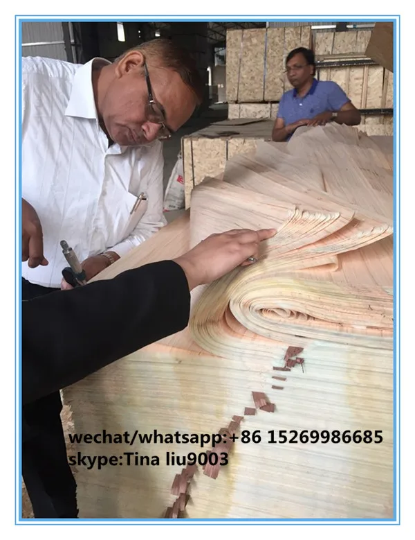 recon poplar wood veneer/skateboard wood veneer/balsa wood veneer