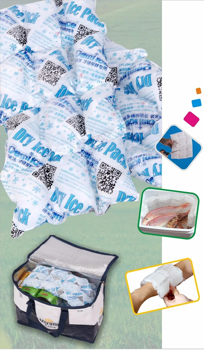 SAP material food use mini techni ice dry ice pack,reusable ice pack