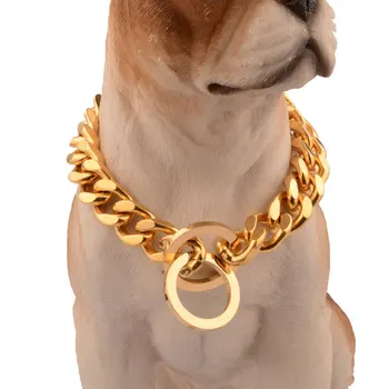 gold dog leash