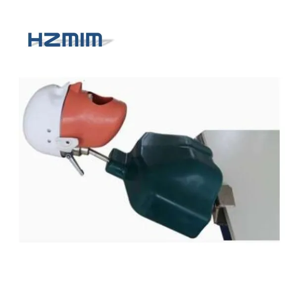 dental manikin 21.jpg