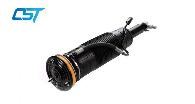 221 shock absorber.jpg