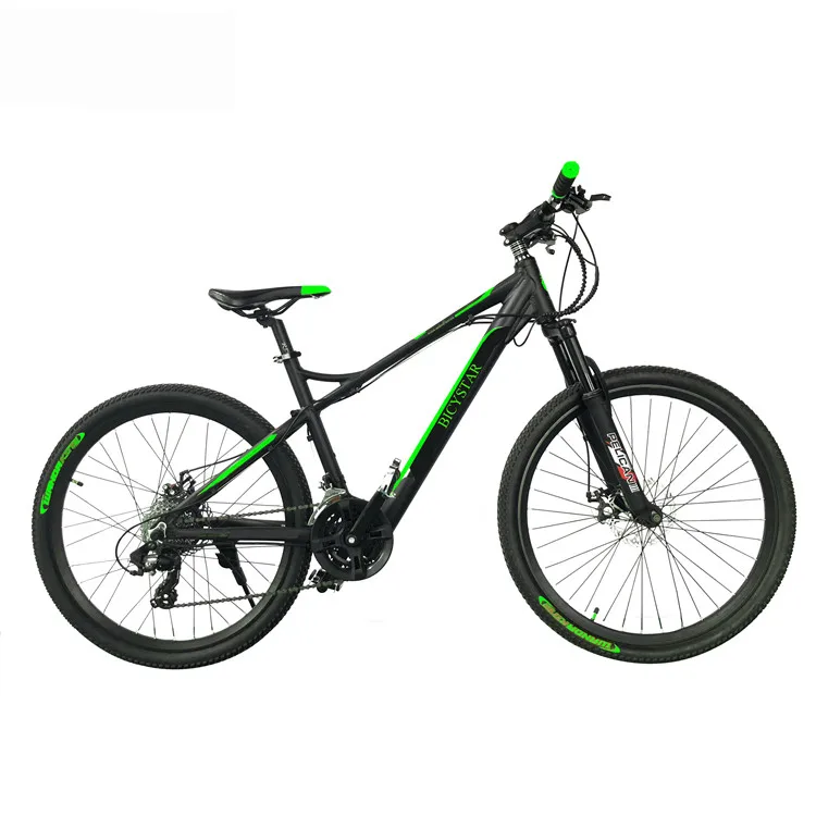 e mountain bike for sale