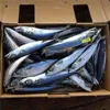 China mackerel pouches norway frozen mackerel wholesale market