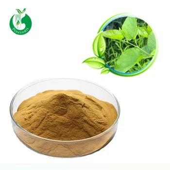 Mulberry Extract/white Mulberry Powder/mulberry Leaf Extract - Buy ...