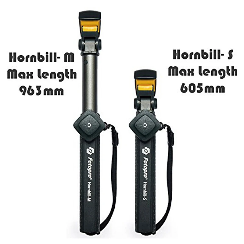 Hornbill-S(6).jpg