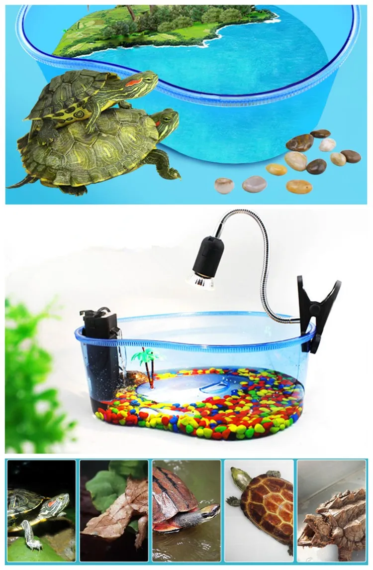 Plastic Turtle Tub Turtle Aquarium - Buy Turtle Aquarium,Turtle Cage ...