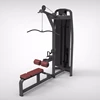 Lat Pulldown / Low Row / gym equipment