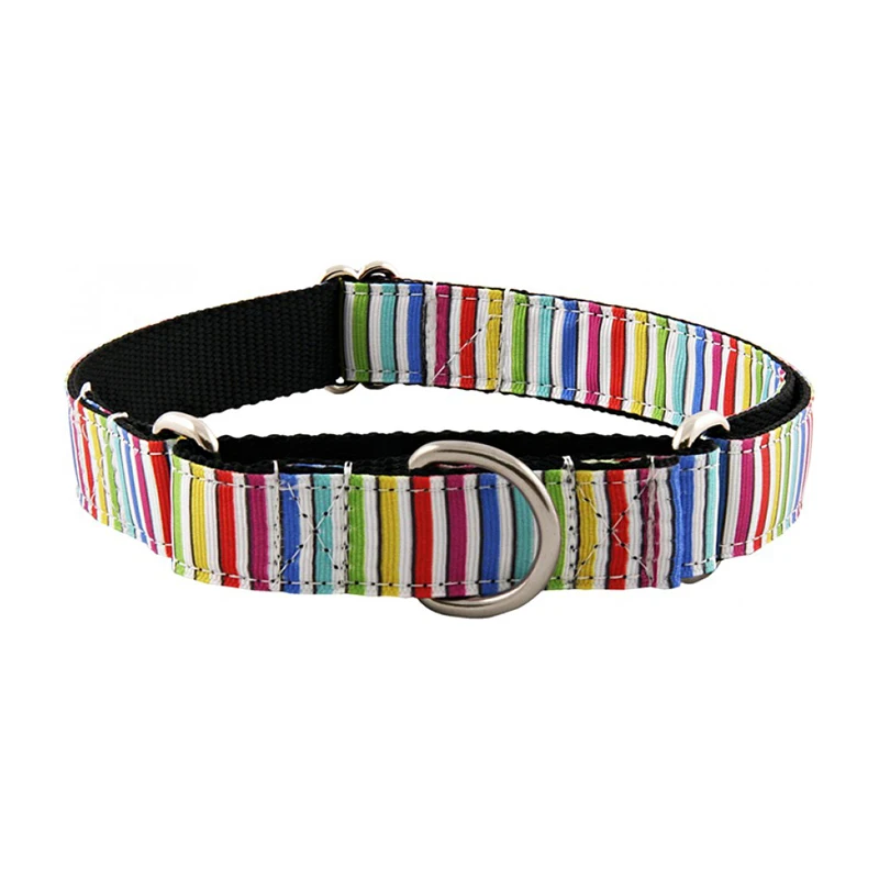 padded dog collar
