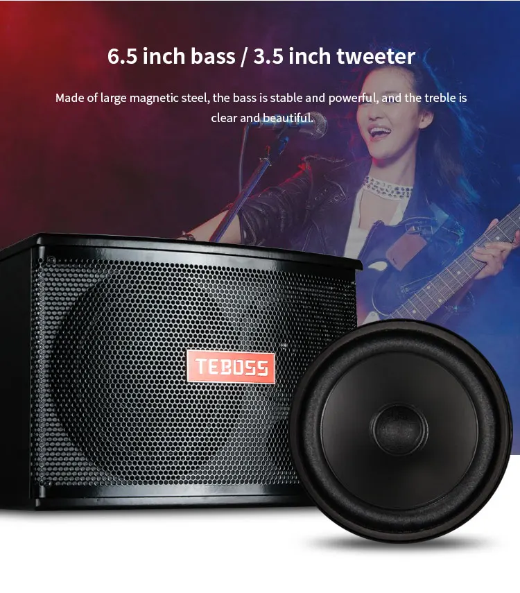 Home Karaoke System Mini Amplifiers Cheap Karaoke Package Fixed