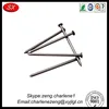 stainless steel custom precision screw nails with high quality Passed ISO 9001