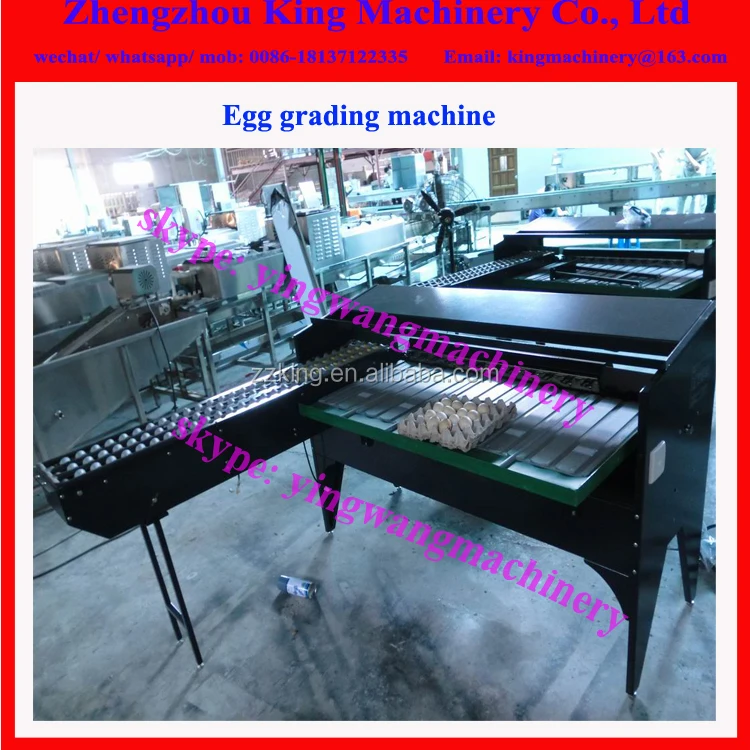 egg grading machine .jpg