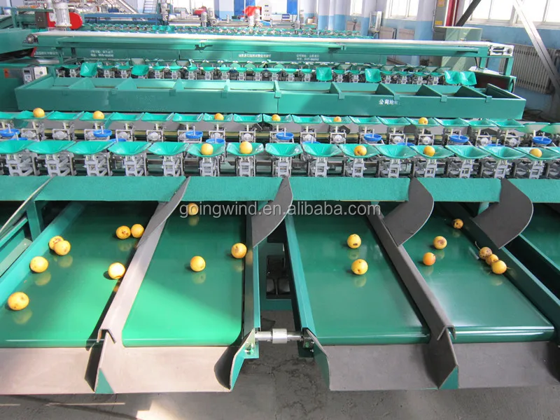 Automatic Fruit Sorting Machine Auto Fruits Commercial Weight Sorting