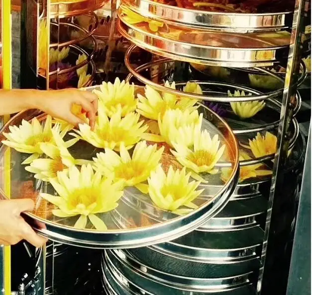 100% natural Dried new havested yellow lotus flowers tea for sale - 4uTea | 4uTea.com