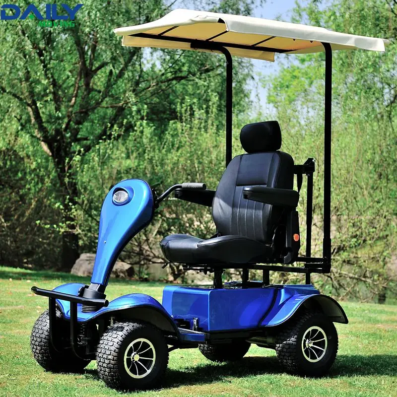 Single Seat Electric Golf Cart / Buggy With 24v 1300w Motor Buy Cheap