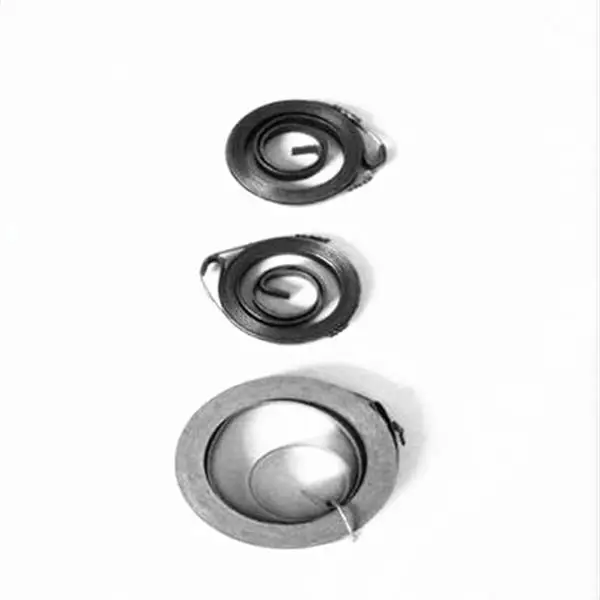 flat spring27_(1).jpg