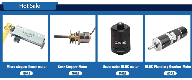 9V Rated Voltage Linear Stepper Motor with M3P0.5 Screw and Customizable Nuts for Precision Control