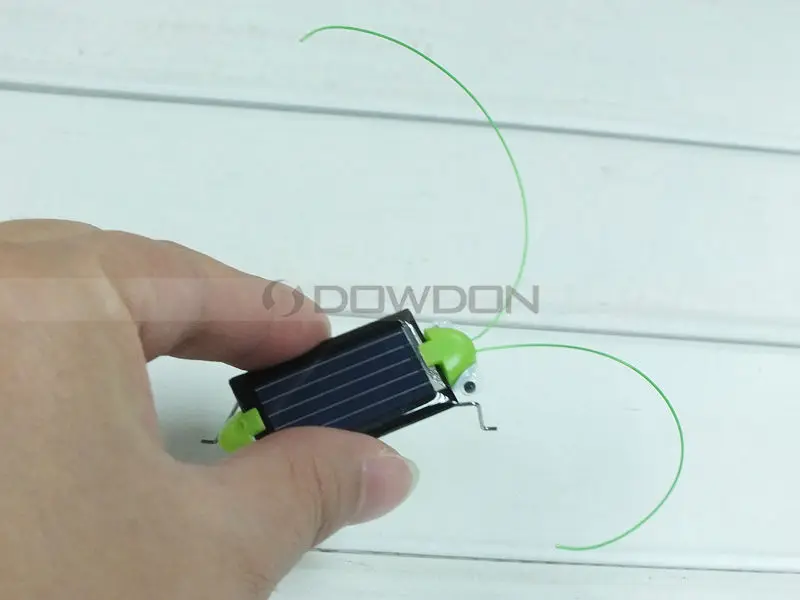 sloar grasshopper 8015 131216 (9).JPG