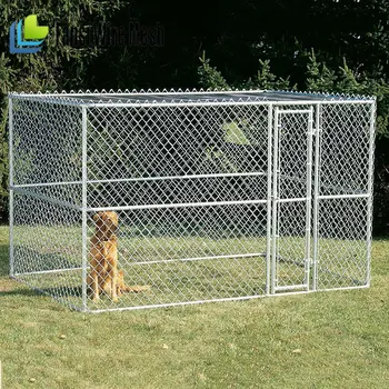 dog fence