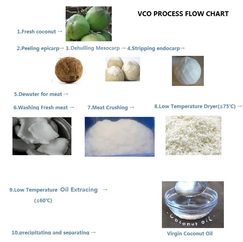 pdf-extraction-processes-of-virgin-coconut-oil