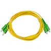 1.5M/3M/10M singlemode/multimode SC/APC fiber optic patch cord