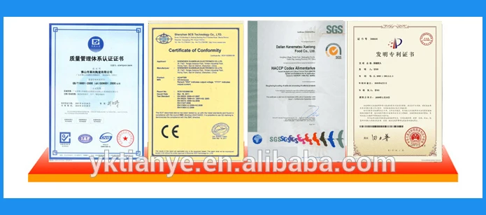 Acrylic Standing Bubble Chair_20