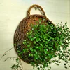 Hanging willow garden basket/wicker hanging flower basket
