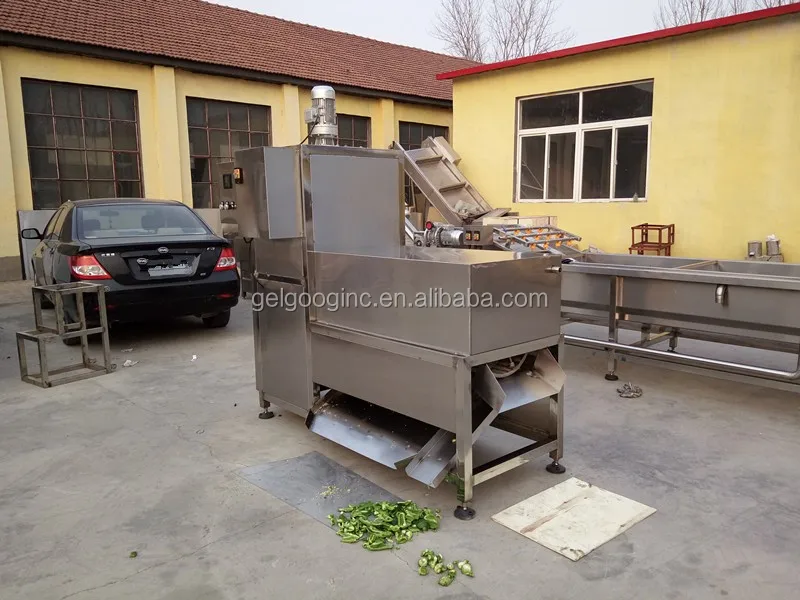 Gelgoog Dry Chilli Pepper Seeds Remover Pepper Seed Separating Machine, View chilli pepper seeds