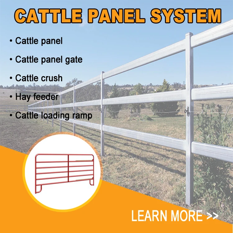 cattle panel 1