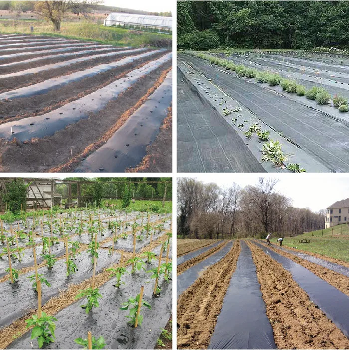 agriculture film Mulch film