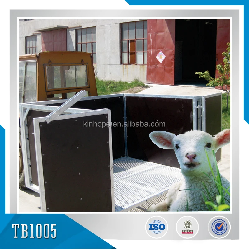 Box sheep place library photo mouse