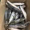 2019 New product fresh Sea frozen pacific mackerel fish for sale with high quality 150-250g,300-500g