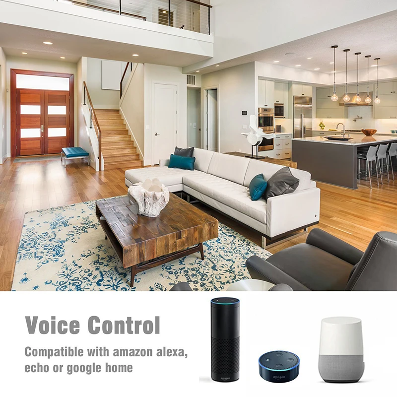 brightfun google home