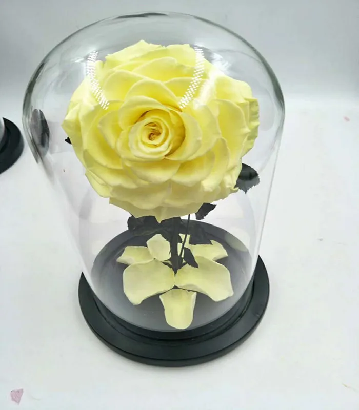 Wholesale Forever Roses In Glass Dome Preserved Roses Flowers From