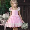 2019 online hot style pink dress for small girl party fashion design sleeveless