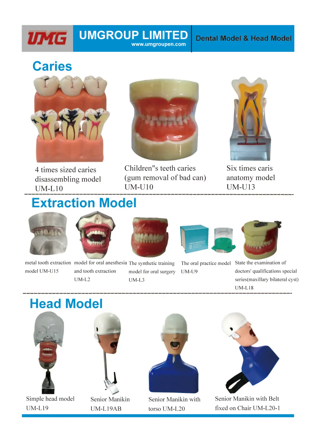 Dental Educational Moulds Phantom Manikin Head Model Buy Phantom