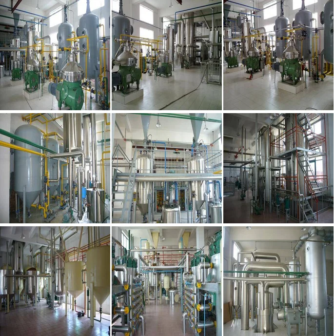 Vegetable oil refining plant avocado fruit palm oil refining machine oil refinery line