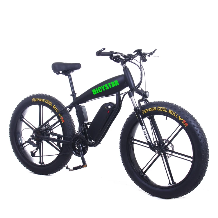 electric bike order