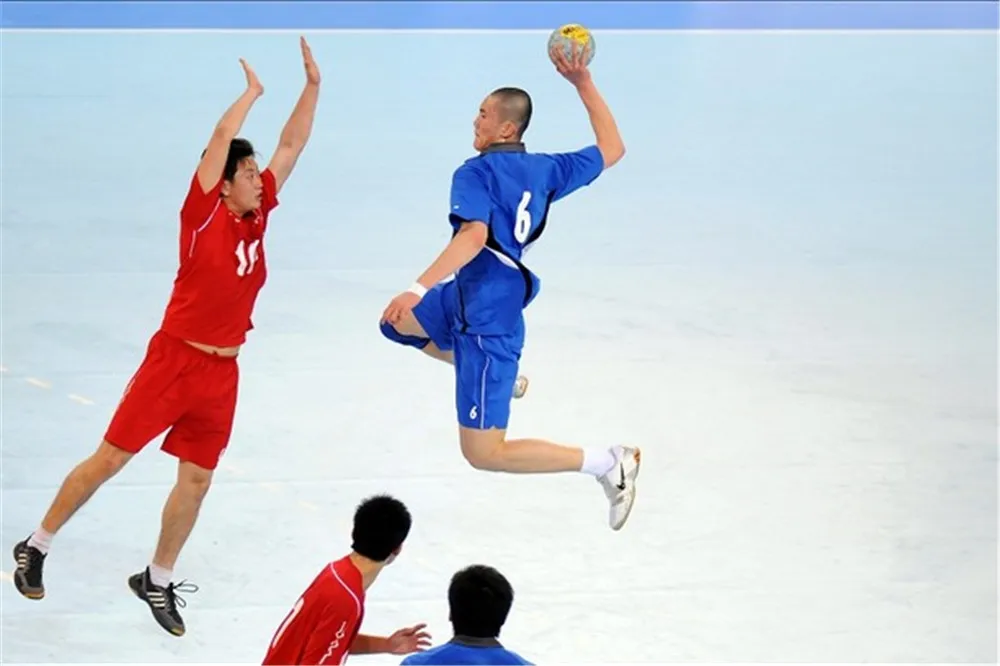 Custom Handball Goal Net 