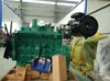 EAPP Economy Gas Engine JL6CQ145G Basic Engine