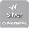Search Engine Optimization Silver SEO Plan