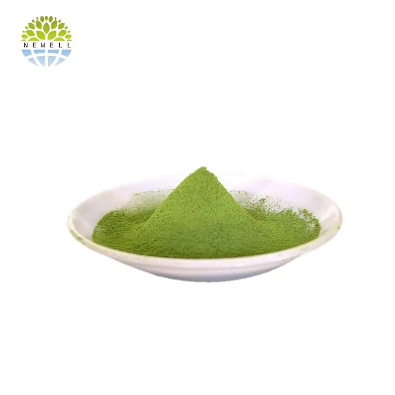 Wholesale market reliable premium matcha with tin box - 4uTea | 4uTea.com