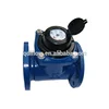 REMOVABLE ELEMENT WOLTMAN WATER METER