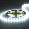 CE RoHS DC12V Tunable White Flex 5050 LED Strip Light 30M