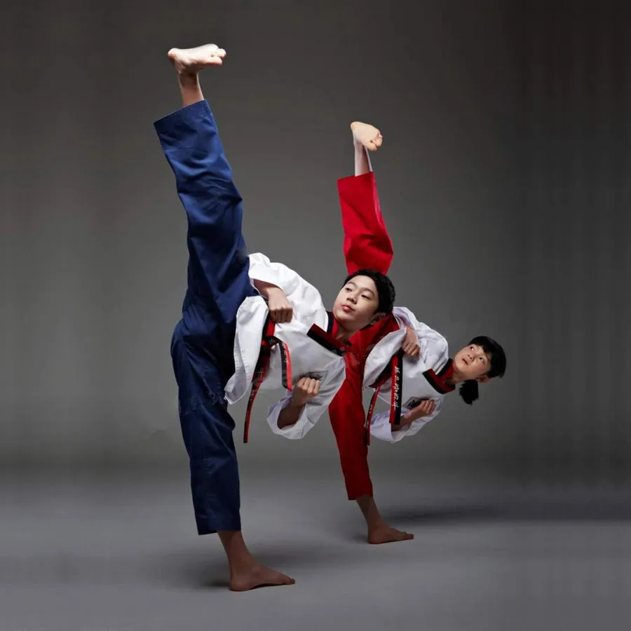 Taekwondo Poomsae