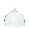 article glass dome